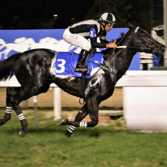 RAPADURA (Tiger Heart) vence a 1ª na Gávea