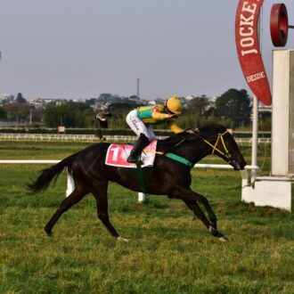 XIANGGANG CHAMP vence fácil em seu retorno no Tarumã