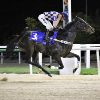 ROXY GIRL vence a Prova Especial Glória de Campeão