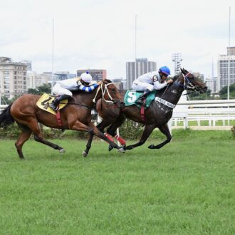 COMMOTION (Courtier) do Free Way vence na estréia em CJ