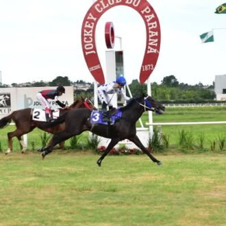 WILLIE HOBO vence a 9ª carreira em Prova Especial no Tarumã