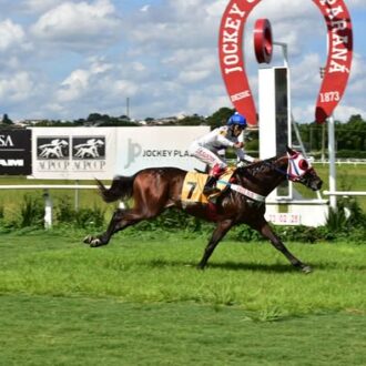DIVIDER (Courtier) do Haras Free Way estréia com vitória no Tarumã