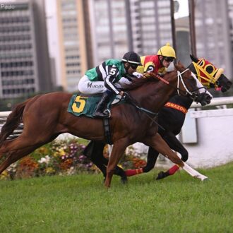 ZAFAR vence Handicap Especial Nageur e permanece invicto