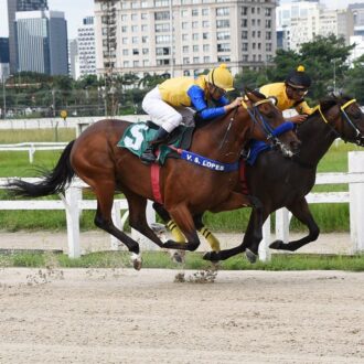 ZHUHAI (Tiger Heart) vence na estréia em Cidade Jardim