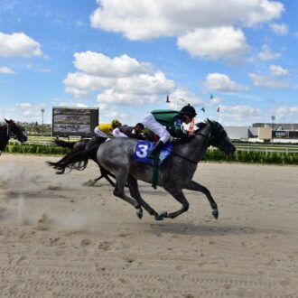 LAND MADE do Stud AML vence na estréia