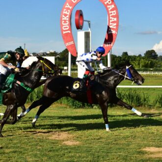 WILLIE HOBO vence a 10ª carreira na Prova Especial Profissionais do Turfe