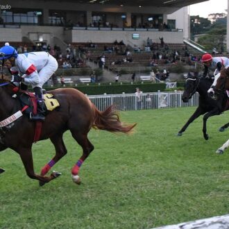 DOLLAR MONEY do Haras Free Way estréia com vitória em CJ