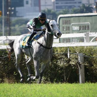 LAND MADE do Stud AML vence o Clássico Presidente Herculano de Freitas (L) e permanece invicto