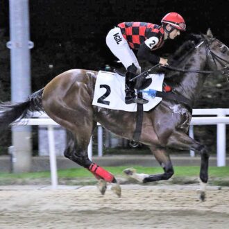 The Warrior retorna às carreiras e vence com facilidade