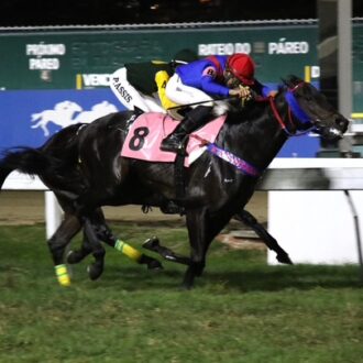 Willie Hobo vence a 11ª na Gávea