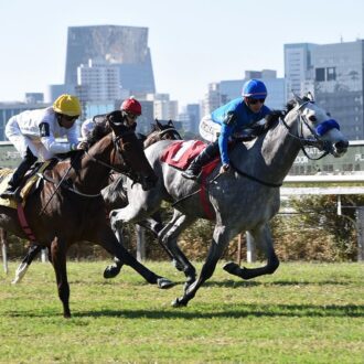 ZANDOR do Stud Baduni vence em CJ