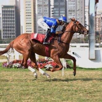 MIPO do Abbey Road vence a 4ª carreira