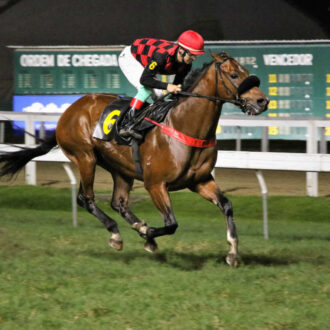 THE WARRIOR vence e convence na Gávea