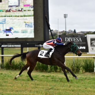 ZAKIYA vence com Moreira e dá a primeira vitória para o Stud Don Corleone