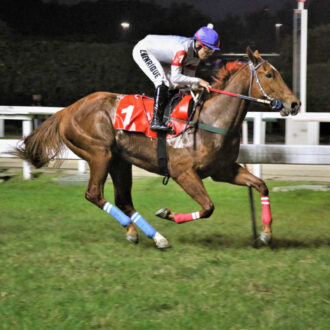 CREDIBLE do Haras Free Way vence com facilidade em seu retorno às pistas