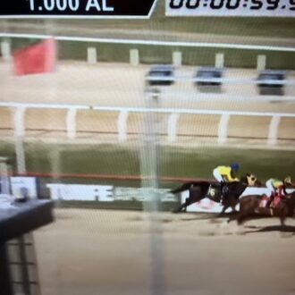 POLISH POWER (Courtier) vence a 5ª carreira no Cristal
