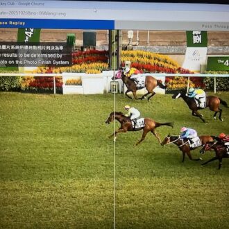 SAGACIOUS LIFE, ex NAVIO FANTASMA, vence Handicap na estréia em Hong Kong