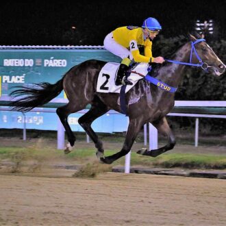 TOBLERONE (Courtier) vence de ponta à ponta na Gávea
