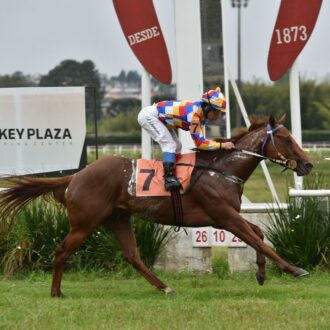 UNÍSSIMO (Tiger Heart) venceu no Tarumã em boa lei