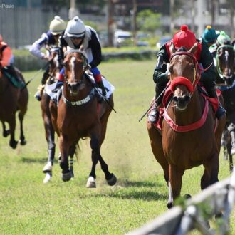 ZEST volta a vencer deixando boa impressão