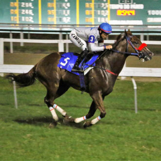 AIR SPEED do Haras Free Way vence na Gávea e fica invicto na reunião em duas inscrições