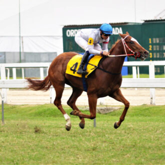 DEEP CHAMP do Hs Free Way vence na estréia na Gávea