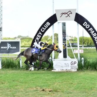 APSARA do Stud Jolly Rogers confirma contra os machos