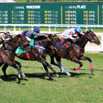 BIG OFF KING do Hs Free Way vence na Gávea