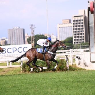 BIG OFF KING do Hs Free Way vence a 6ª em CJ