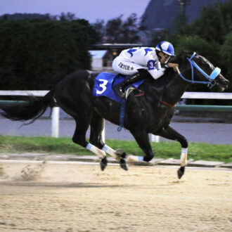 BILLIONAIRE do Hs Free Way vence a 6ª na Gávea