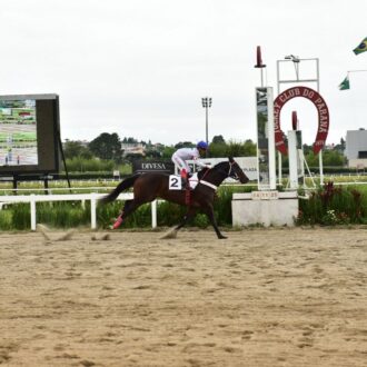 DAY CHAMP do Haras Free Way estréia com vitória por vários corpos