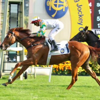 NAVIO FANTASMA (Sagacious Life) volta a vencer em Hong Kong