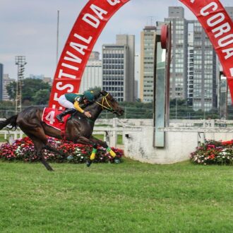 PIU CARINA do Stud JCR / AML vence grupo 2 em CJ