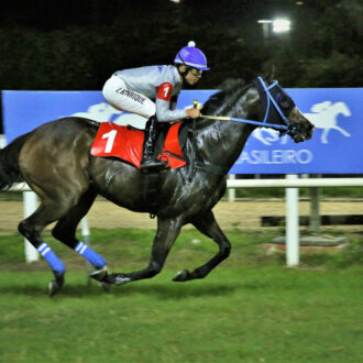 BRICK HOT do Haras Free Way vence com facilidade na Gávea