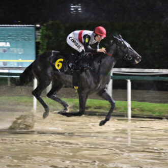 ZAHRINA do Hs Moema vence na Gávea