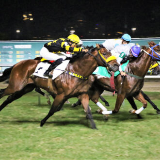 ALL OBSESSION do Hs Free Way vence a 8ª carreira