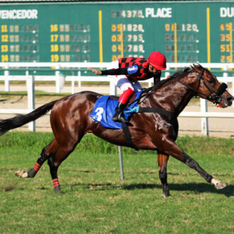 THE WARRIOR de Paulo Fischer volta a vencer com facilidade