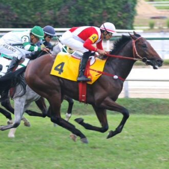 VIAJANTE GLOBAL estréia com vitória na Gávea