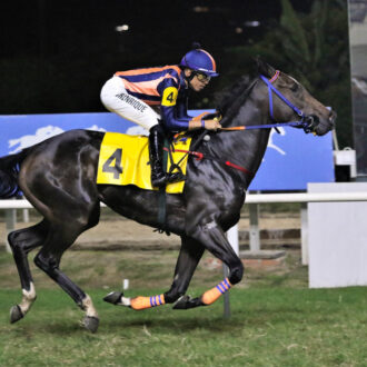 ZAKIYA do Don Corleone, ajustada nos treinos, vence com facilidade