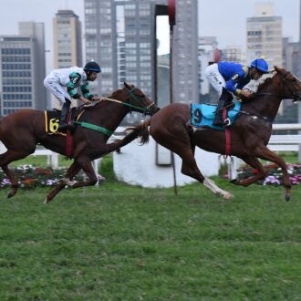 MIPO do Stud Abbey Road vence Listed em 1800 grama
