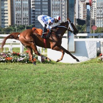 AMAZON QUEEN estréia direto no Clássico Emerald Hill (L) em CJ e vence com facilidade