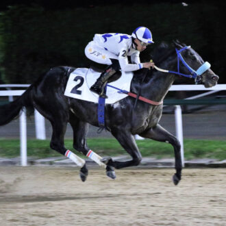 BILLIONAIRE (Tiger Heart) do Hs Free Way vence a 7ª vitória