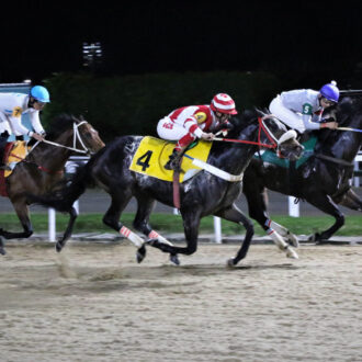 DAY CHAMP (Tiger Heart) do Hs Free Way vence a 3ª vitória