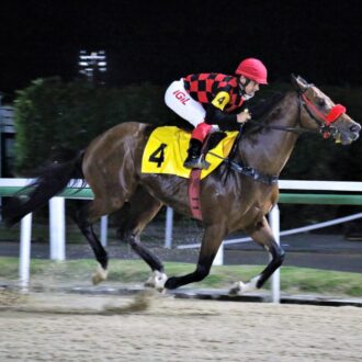 THE WARRIOR de Paulo Fischer vence a 6ª corrida por vários corpos