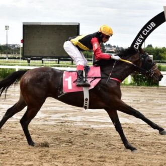 SPRING RUN do Belmont vence no Tarumã na milha
