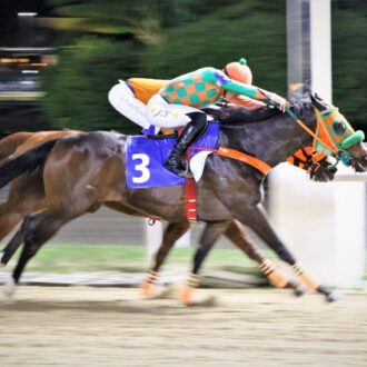 BIG OFF KING criação Free Way vence a sétima carreira