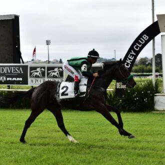 NABIHA do Stud AML vence a primeira carreira