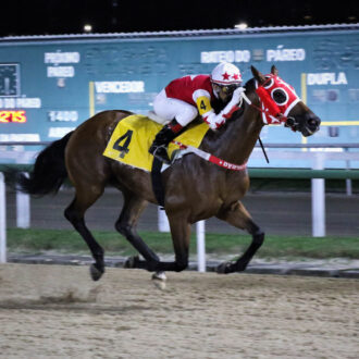 NEVADA SMITH vence a 4ª carreira