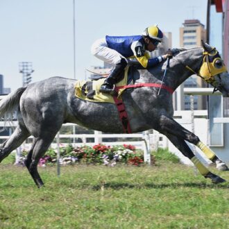 WENZELSON vence a 5ª vitória