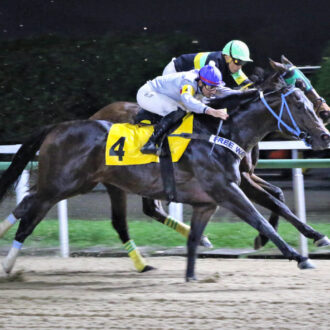 DAY CHAMP vence a 4ª carreira e faz o Free Way vencer 4 carreiras em 2 dias